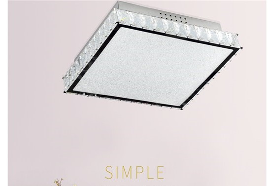 SIMPLE LED CRYSTAL CEILING LIGHT